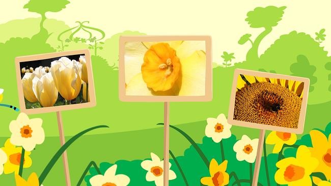 StoryZoo Abenteuer
